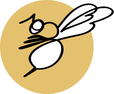Hors-Cadres Apiculture Sauvage